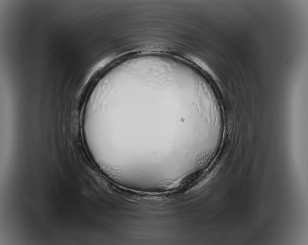 X0000086091067200704132120