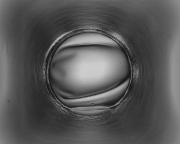 X0000086091068200704132120