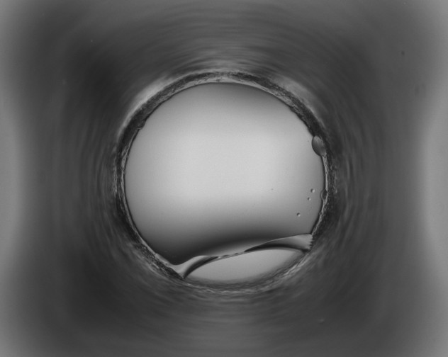 X0000086091069200704132120