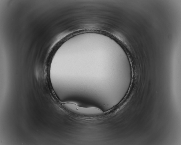 X0000086091070200704132120