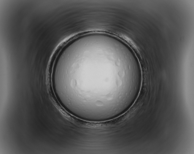 X0000086091072200704132120