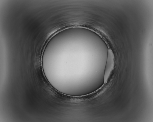 X0000086091073200704132120