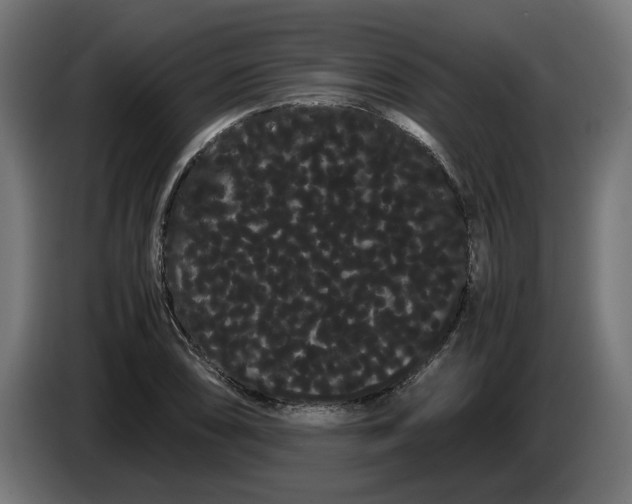 X0000086091074200704132120