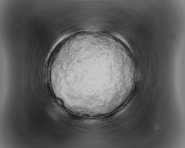 X0000086091075200704132120