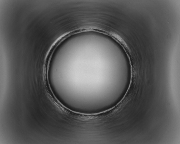 X0000086091076200704132120