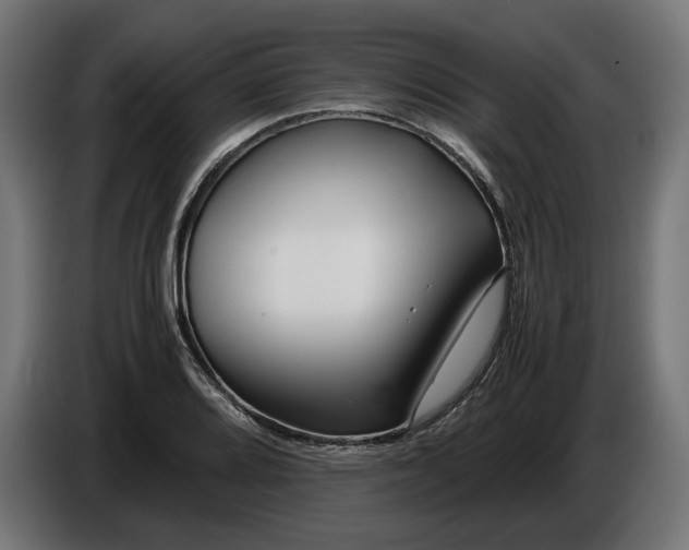 X0000086091080200704132120