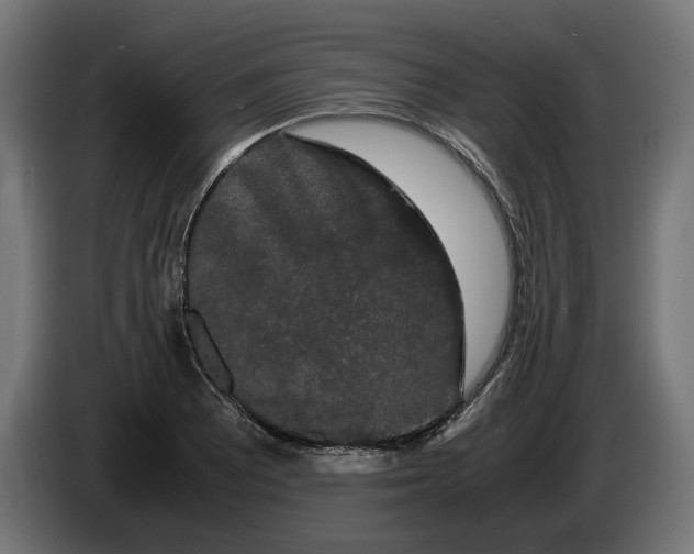 X0000086091081200704132120