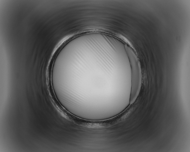 X0000086091082200704132120