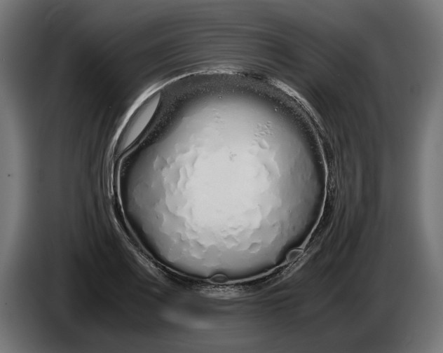 X0000086091083200704132120