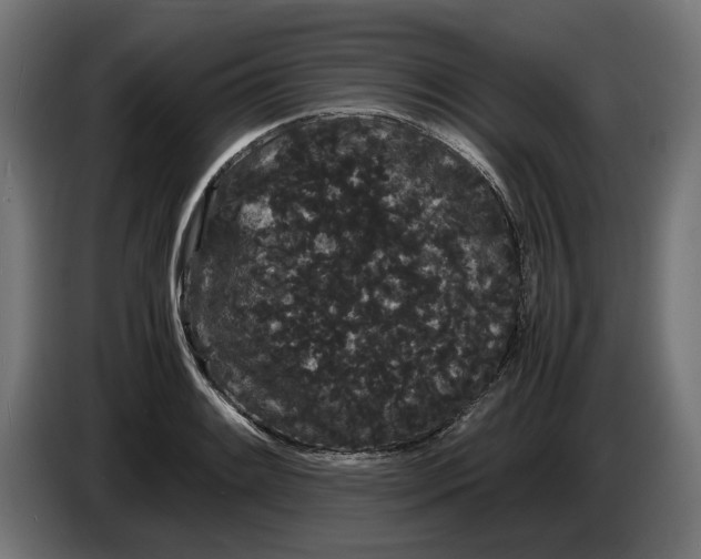 X0000086091084200704132120