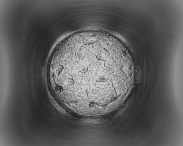 X0000086091086200704132120