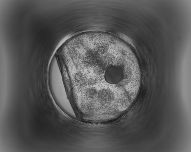 X0000086091087200704132120