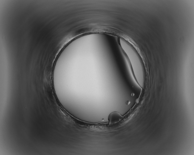 X0000086091089200704132120