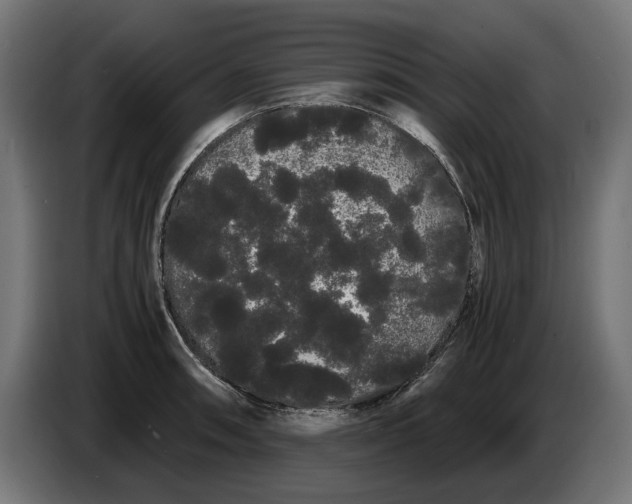 X0000086091090200704132120