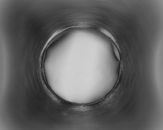 X0000086091091200704132120