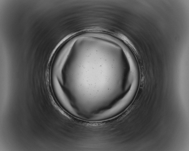 X0000086091092200704132120