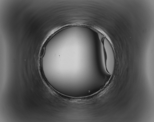 X0000086091093200704132120