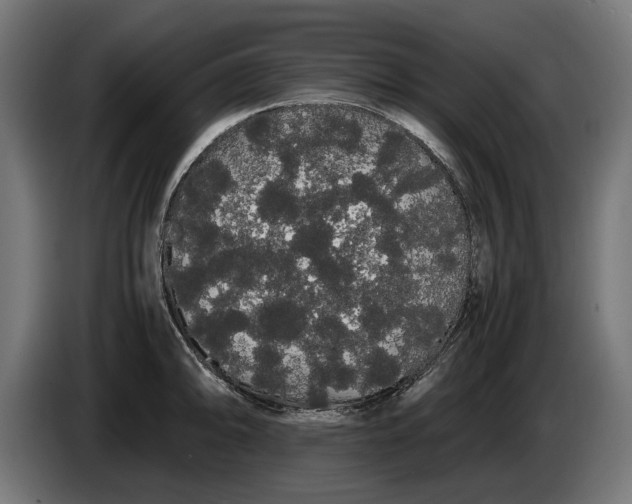 X0000086091094200704132120