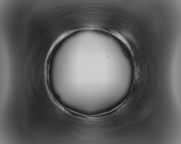 X0000086091096200704132120