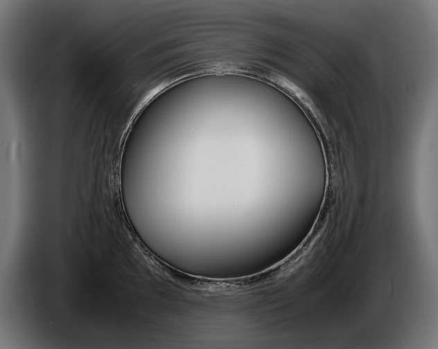 X0000086091097200704132120