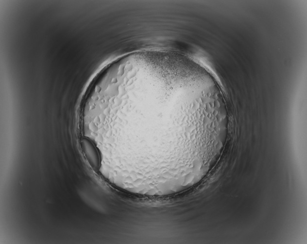 X0000086091099200704132120