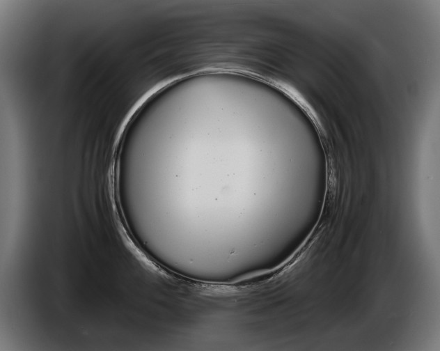 X0000086091100200704132120