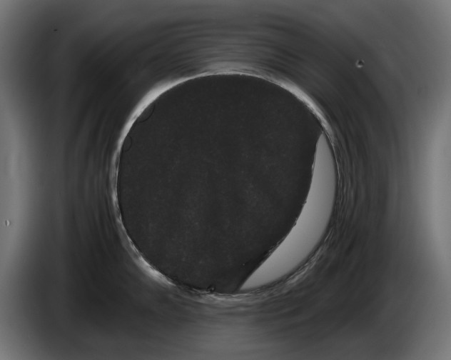 X0000086091102200704132120