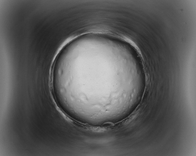 X0000086091103200704132120