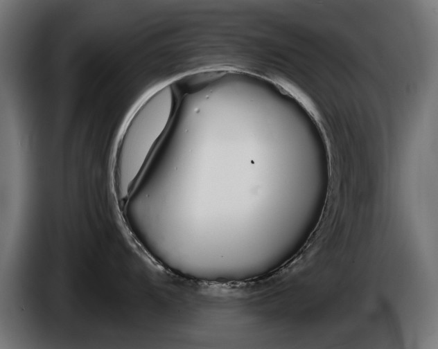 X0000086091104200704132120