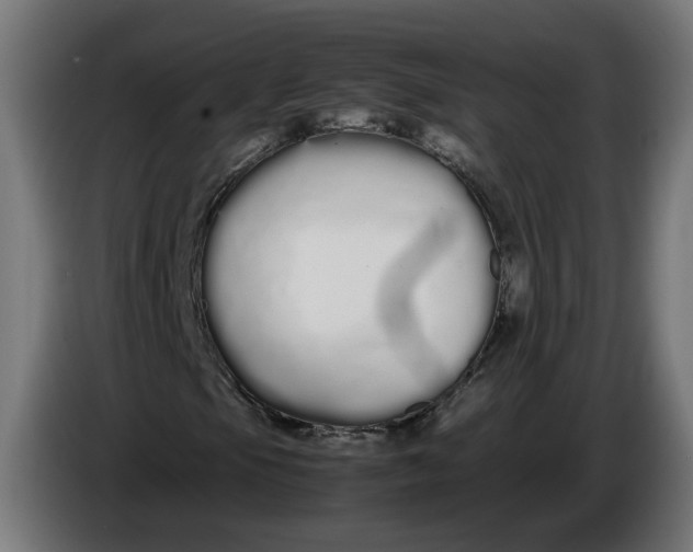 X0000086091105200704132119