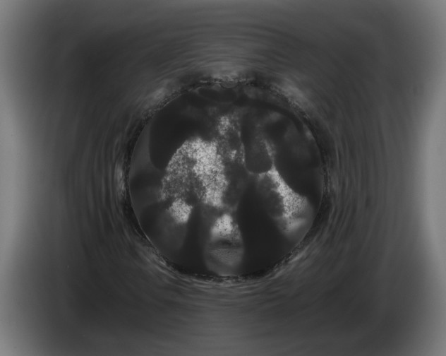 X0000086091106200704132119