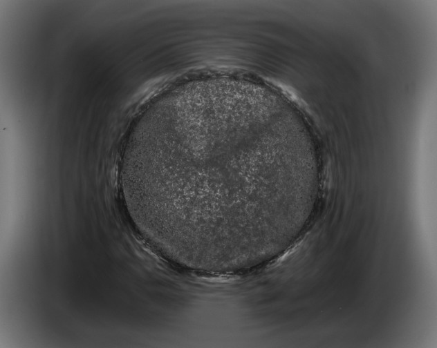 X0000086091110200704132119