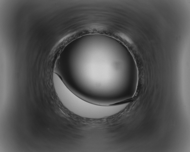 X0000086091112200704132119