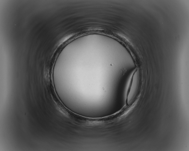 X0000086091113200704132119