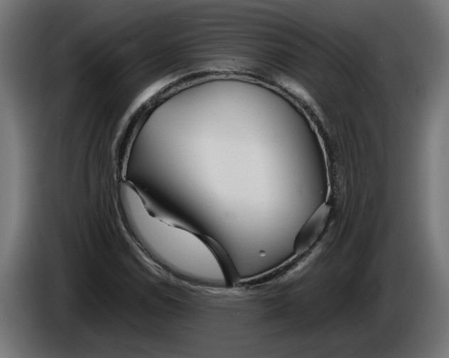 X0000086091114200704132119