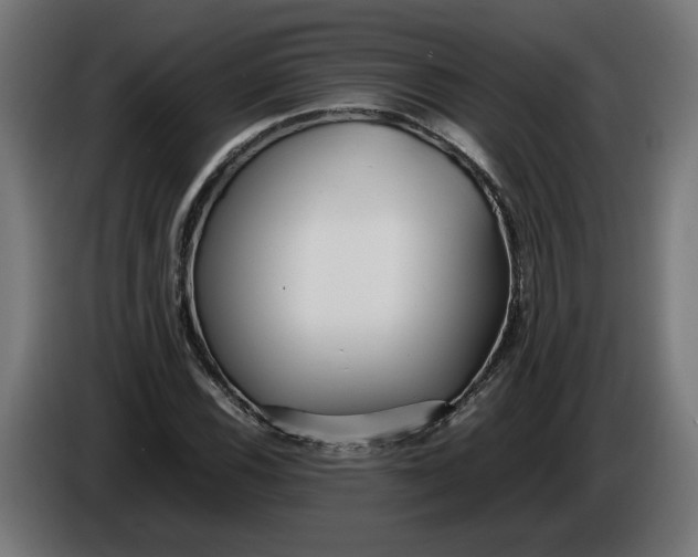 X0000086091116200704132119