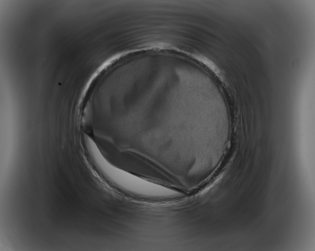 X0000086091118200704132119