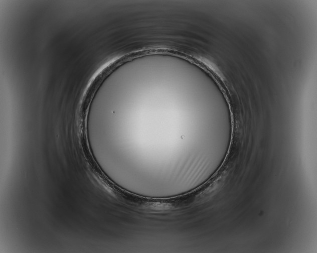 X0000086091119200704132119