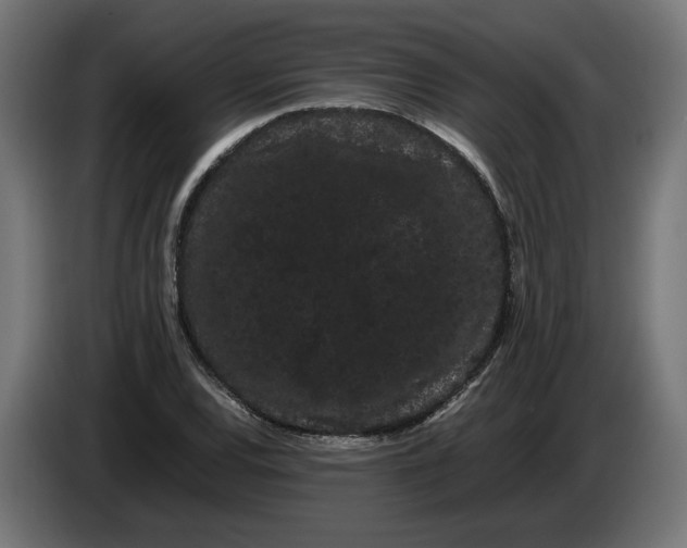 X0000086091120200704132119