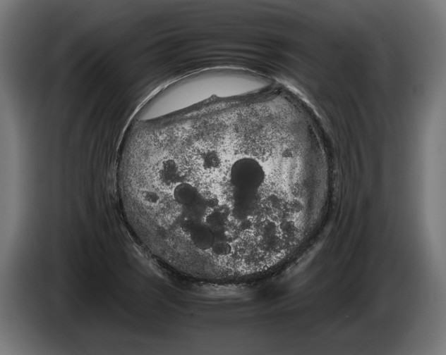 X0000086091121200704132119