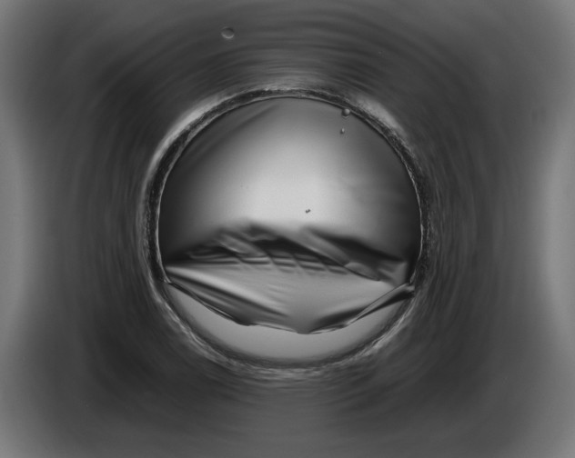 X0000086091122200704132119