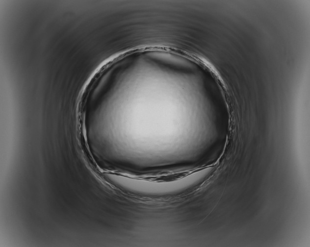 X0000086091124200704132119