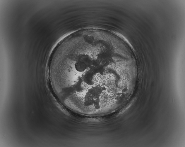 X0000086091125200704132119