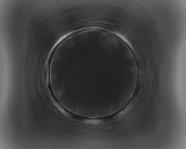 X0000086091127200704132119