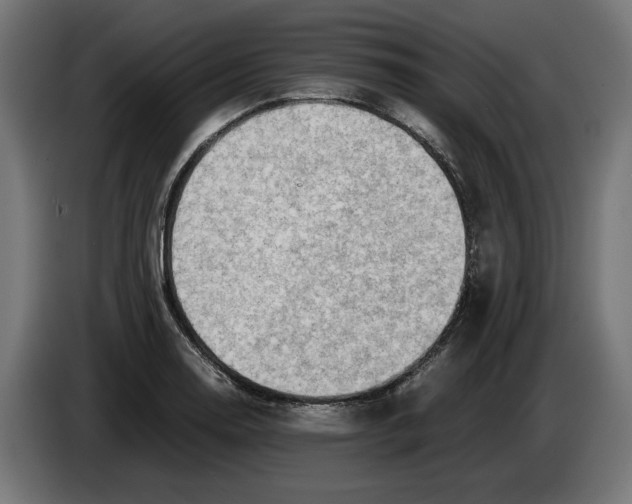 X0000086091130200704132119