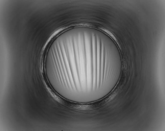 X0000086091131200704132119