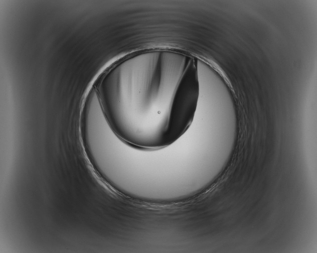 X0000086091132200704132119