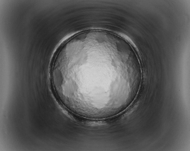 X0000086091133200704132119