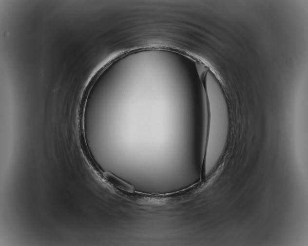 X0000086091134200704132119