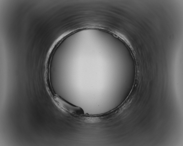 X0000086091136200704132119